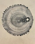 Thumbnail of Found on Cosmos