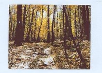 Thumbnail of Overlooked Tendernesses