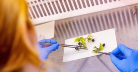 Thumbnail of Food Ingredients Europe 2024 | De Brabantse Ontwikkelings ...