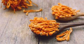 Thumbnail of 6 Benefits of Cordyceps, All Backed by Science