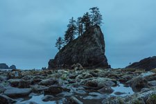 Thumbnail of Home - Hinoki Travels