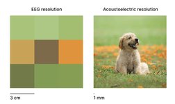 Thumbnail of We have AE at home