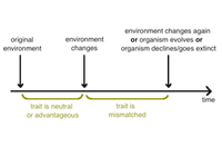 Thumbnail of Evolutionary mismatch