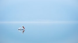 Thumbnail of How to Find Clarity When You’re at a Career Crossroads