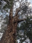 Thumbnail of Sit Spot FAQ