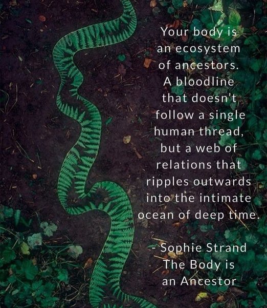 Thumbnail of Found on Cosmos