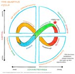Thumbnail of The adaptive cycle as a dynamic map for resilience thinking