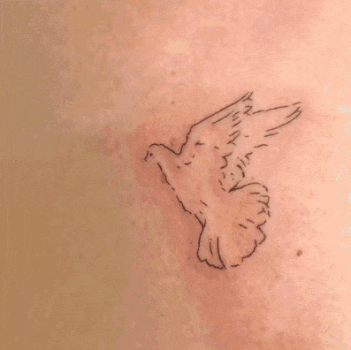 Preview of 58ef839cc7d437d4e1f38caca1ee421c-gif