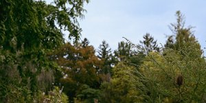 Thumbnail of You need a website, not another social media account to manage