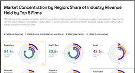 Thumbnail of Giants of the Global South: Market Concentration Across Industries and Regions