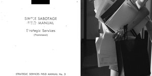Thumbnail of Self-Sabotaging Innovation: The Art of Doing Dumb Shit