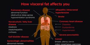 Thumbnail of The World's Easiest Diet To Eliminate Visceral Fat