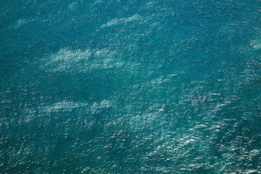 Thumbnail of The power of nature’s sonar