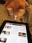 Thumbnail of Note-Taking when Reading the Web and RSS