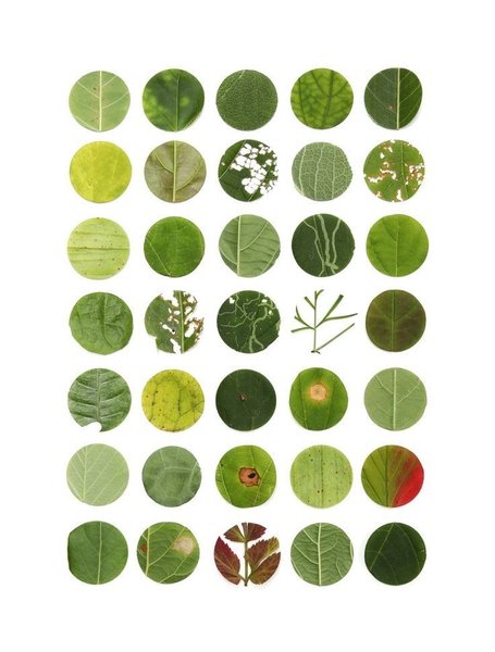 Thumbnail of Image