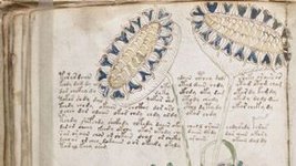 Thumbnail of The Unread: The Mystery of the Voynich Manuscript