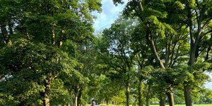 Thumbnail of Devotion is a choice