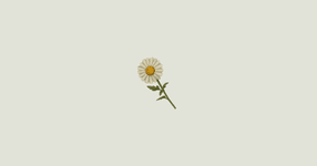Thumbnail of depression handbook | writing