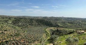 Thumbnail of שכונות חדשות במאחזים ובהתנחלויות נבנות בצמוד לשמורות טבע | דעה