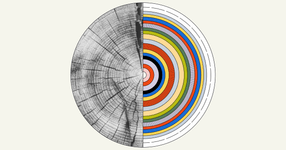 Thumbnail of Social Investment Solutions  • Cotton Design