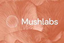 Thumbnail of Mushlabs