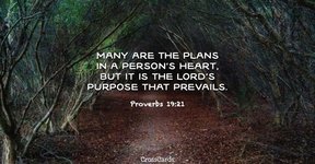 Thumbnail of Proverbs 19:21 - Many are the plans in a person’s heart, but it is ...