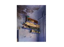 Thumbnail of The Seventy Percent, by Yiyun Li
