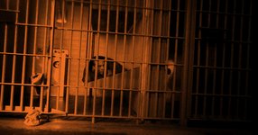 Thumbnail of Private prisons are shrouded in secrecy. I took a job as a guard to get inside—then things got crazy