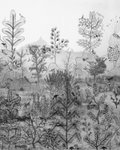 Thumbnail of Found on Cosmos