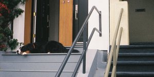 Thumbnail of Find Your Own Lessons