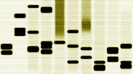 Thumbnail of The Innovator’s DNA