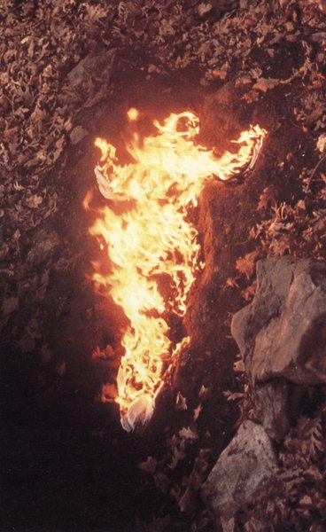 Thumbnail of Ana Mendieta  | Siluetas Series 1973-78