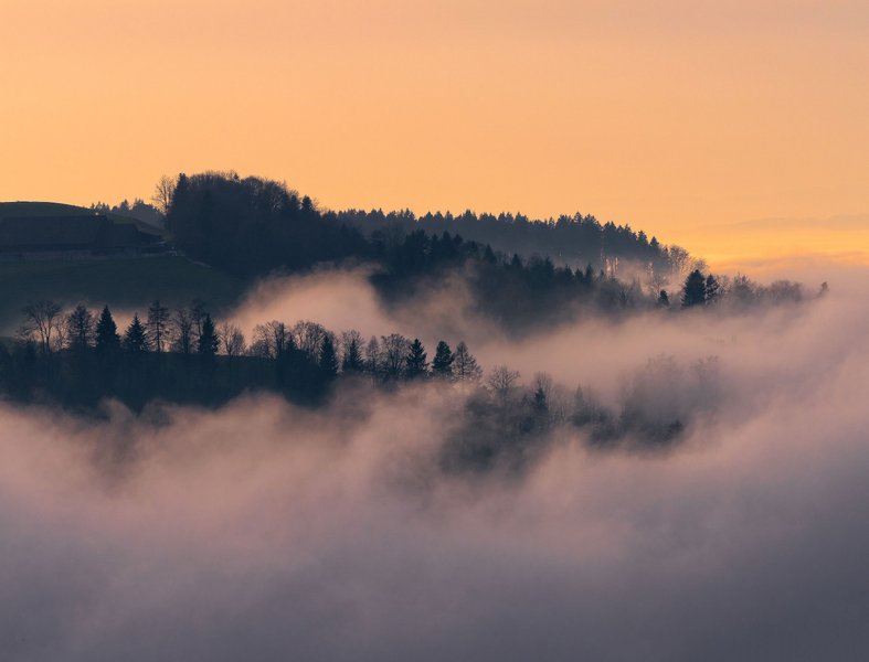 Preview of unsplash-jpg-9d1d7da06fb240cf