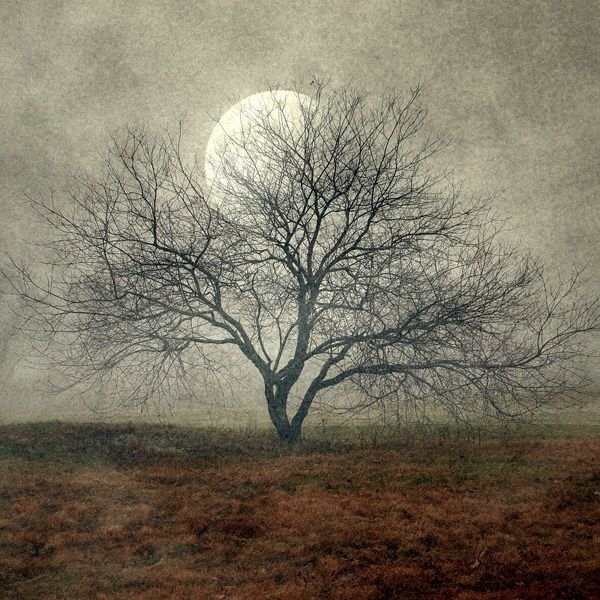 Thumbnail of Kat Swanson