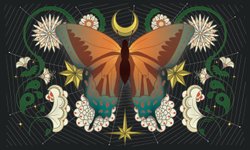 Thumbnail of Murmurations: A New Beginning Dawns