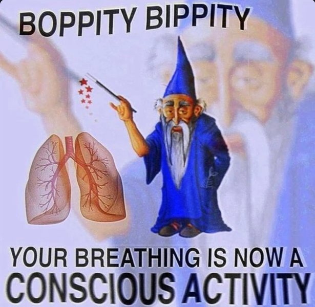 Preview of conscious-jpg