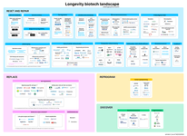 Thumbnail of Longevity Biotech Landscape — Ada Nguyen