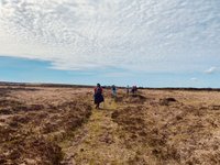 Thumbnail of WALKABOUT with Newlyn School of Art