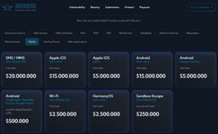 Thumbnail of 0-Day Market Reaches USD $20 million - A New Player Enters | Alexander Hagenah posted on the topic | LinkedIn