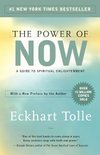 Cover of The Power of Now: A Guide to Spiritual Enlightenment