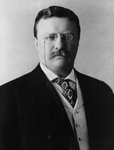 Thumbnail of A quote by Theodore Roosevelt