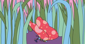 Thumbnail of To Get Happier, Make Yourself Smaller