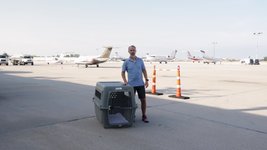 Thumbnail of BARK on LinkedIn: Today, we are proud to introduce BARK Air, the world's first air travel… | 70 comments
