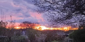 Thumbnail of Resistance and Embracing Your Nature