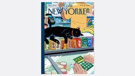 Thumbnail of R. Kikuo Johnson’s “Bodega Cat”
