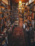 Thumbnail of Reading is one way we are reminded: stay human.