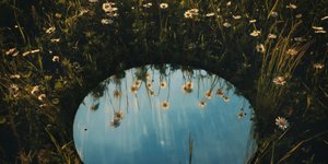 Thumbnail of Shut Up and Thrive: My Counterintuitive Path To Personal Power