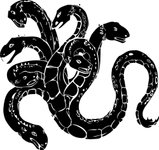 Thumbnail of Antifragile Planning: Optimizing for Optionality (without Chasing Shiny Objects)