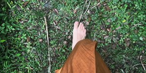 Thumbnail of Villaging, Not Homesteading: We're Not Doing This Alone