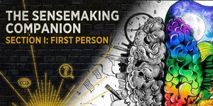 Thumbnail of The Sensemaking Companion - Section I